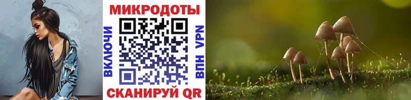 Галлюциногенные грибы Magic Shrooms  omg рабочий сайт  Кубинка 
